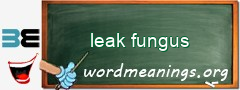 WordMeaning blackboard for leak fungus